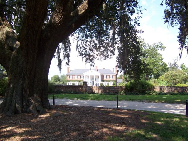 boonehallplantationcharlestonsc.jpg