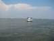 ferryboat3_small.jpg